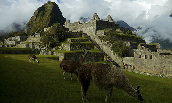 Machu Picchu y la Selva Tropical