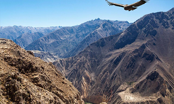 machu picchu, lake titicaca colca canyon