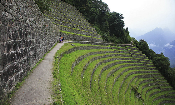 inca-trail-to-machu-picchu