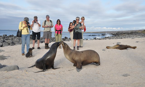 machu-picchu-and-galapagos-cruises